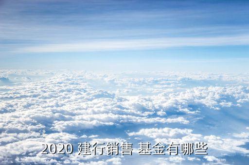 2020 建行銷(xiāo)售 基金有哪些