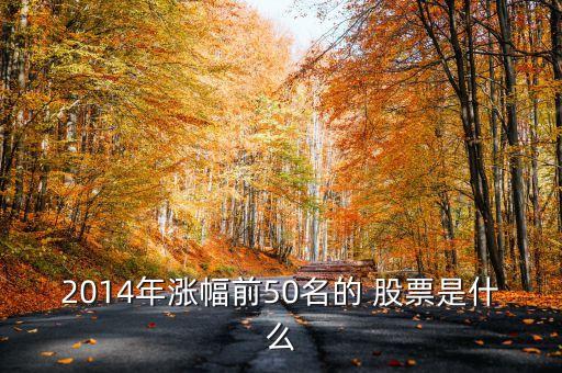 2014年漲幅前50名的 股票是什么