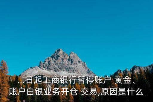 ...日起工商銀行暫停賬戶 黃金、賬戶白銀業(yè)務開倉 交易,原因是什么