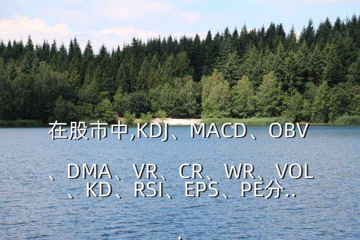 在股市中,KDJ、MACD、OBV、DMA、VR、CR、WR、VOL、KD、RSI、EPS、PE分...