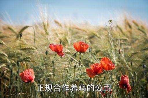 正規(guī)合作養(yǎng)雞的公司