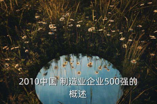 2010中國(guó) 制造業(yè)企業(yè)500強(qiáng)的概述