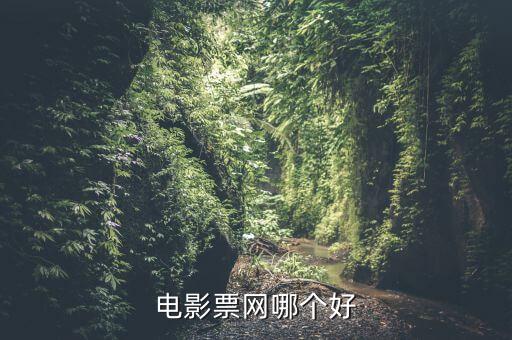 電影票網(wǎng)哪個(gè)好