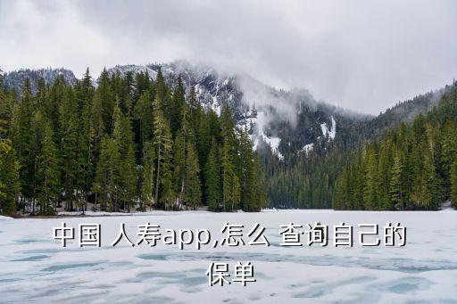 中國 人壽app,怎么 查詢自己的 保單