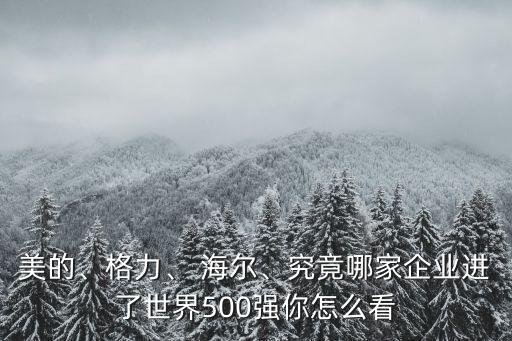 美的、格力、 海爾、究竟哪家企業(yè)進了世界500強你怎么看