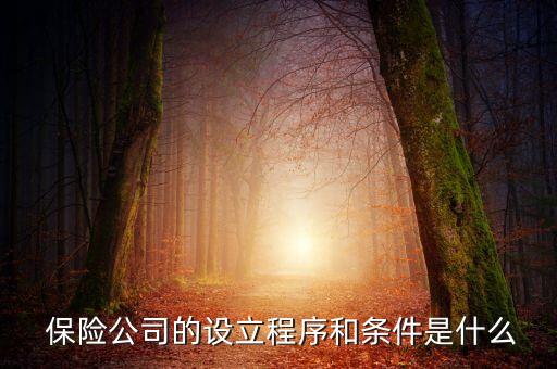 保險(xiǎn)公司章程