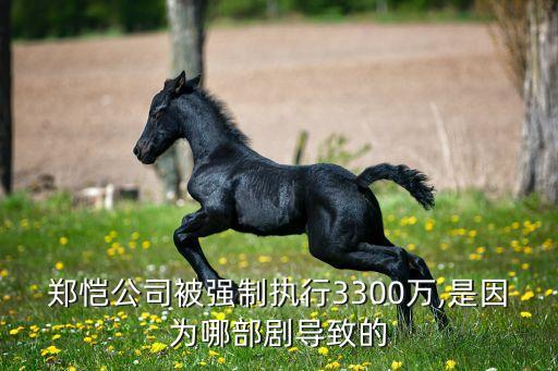 鄭愷公司被強(qiáng)制執(zhí)行3300萬(wàn),是因?yàn)槟牟縿?dǎo)致的