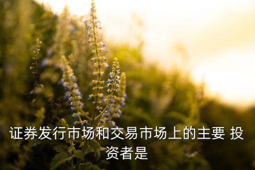 機構(gòu)投資者一定是企業(yè)投資者,當投資者尤其是機構(gòu)投資者