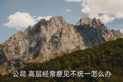  公司 高層經常意見不統一怎么辦