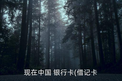 現(xiàn)在中國 銀行卡(借記卡