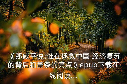 《郎咸平說:誰在拯救中國 經濟復蘇的背后和蕭條的亮點》epub下載在線閱讀...