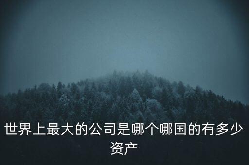 世界上最大的公司是哪個哪國的有多少資產(chǎn)