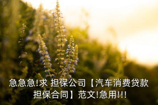 急急急!求 擔(dān)保公司【汽車消費(fèi)貸款 擔(dān)保合同】范文!急用!!!