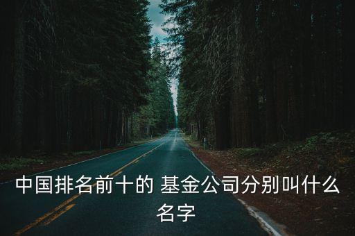 中國排名前十的 基金公司分別叫什么名字