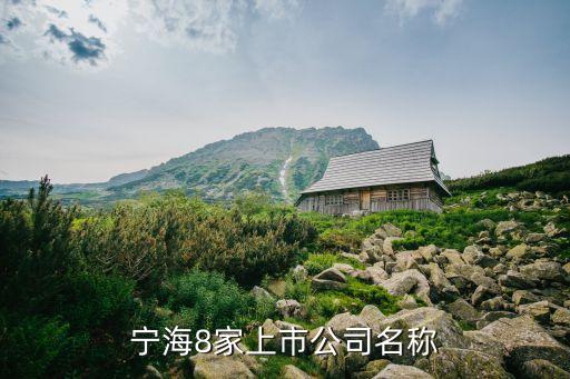 寧海8家上市公司名稱