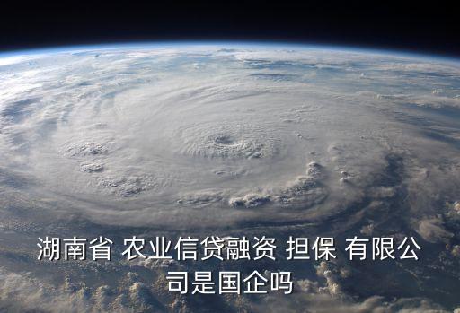 湖南省 農(nóng)業(yè)信貸融資 擔(dān)保 有限公司是國(guó)企嗎