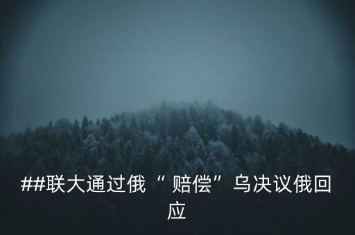 ##聯(lián)大通過俄“ 賠償”烏決議俄回應