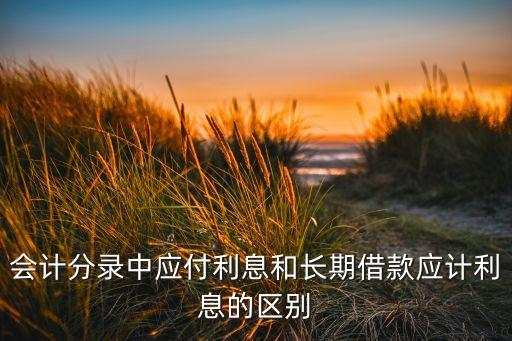 會(huì)計(jì)分錄中應(yīng)付利息和長(zhǎng)期借款應(yīng)計(jì)利息的區(qū)別