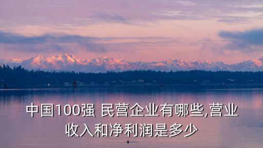 中國100強(qiáng) 民營企業(yè)有哪些,營業(yè)收入和凈利潤是多少