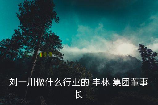 劉一川做什么行業(yè)的 豐林 集團董事長