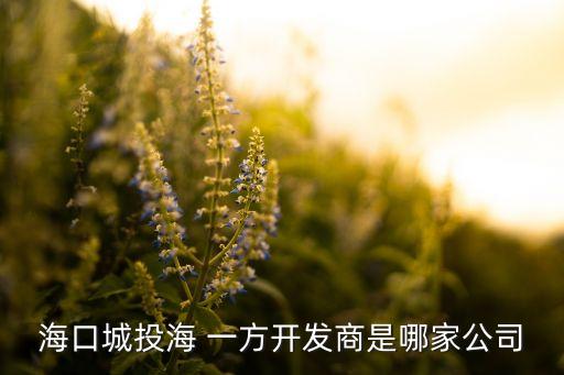 ?？诔峭逗?一方開發(fā)商是哪家公司