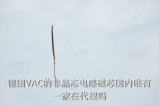 德國(guó)VAC的非晶態(tài)電感磁芯國(guó)內(nèi)唯有一家在代理嗎