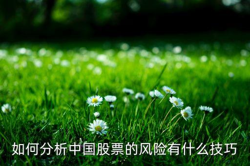 如何分析中國(guó)股票的風(fēng)險(xiǎn)有什么技巧