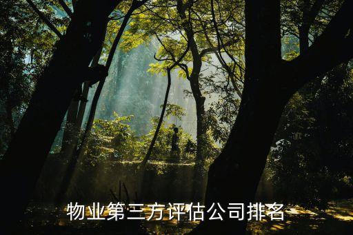 物業(yè)第三方評估公司排名