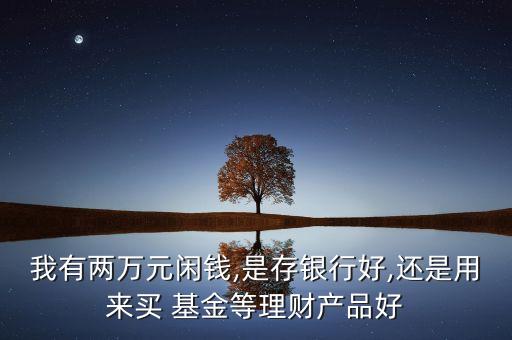 我有兩萬(wàn)元閑錢(qián),是存銀行好,還是用來(lái)買(mǎi) 基金等理財(cái)產(chǎn)品好