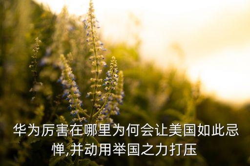  華為厲害在哪里為何會讓美國如此忌憚,并動用舉國之力打壓