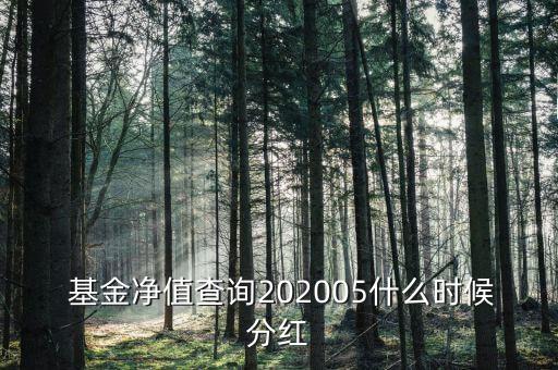  基金凈值查詢202005什么時候分紅