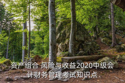 資產(chǎn)組合 風(fēng)險與收益2020中級會計財務(wù)管理考試知識點