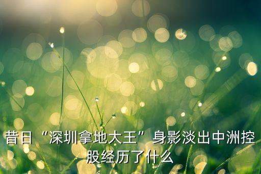 昔日“深圳拿地大王”身影淡出中洲控股經(jīng)歷了什么