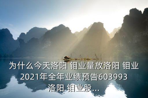 為什么今天洛陽 鉬業(yè)量放洛陽 鉬業(yè)2021年全年業(yè)績預告603993洛陽 鉬業(yè)股...