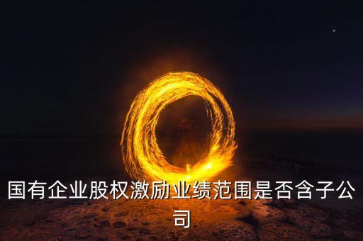 高管持股平臺(tái)成立有限公司,持股平臺(tái)是有限公司還是合伙企業(yè)