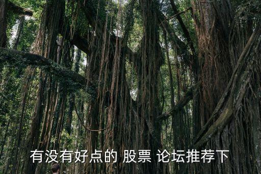 有沒(méi)有好點(diǎn)的 股票 論壇推薦下