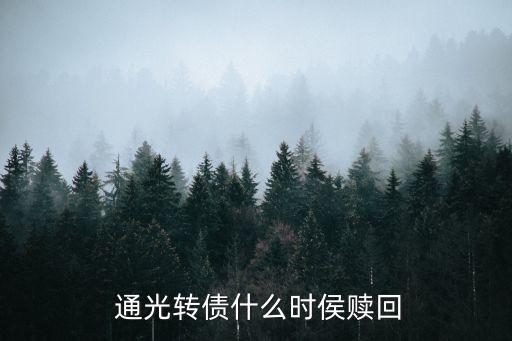  通光轉(zhuǎn)債什么時侯贖回