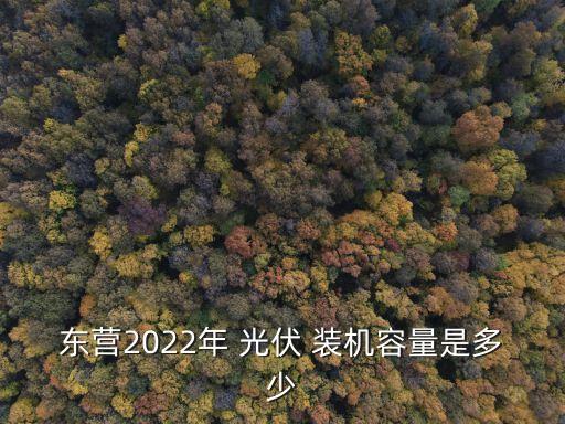 東營2022年 光伏 裝機(jī)容量是多少