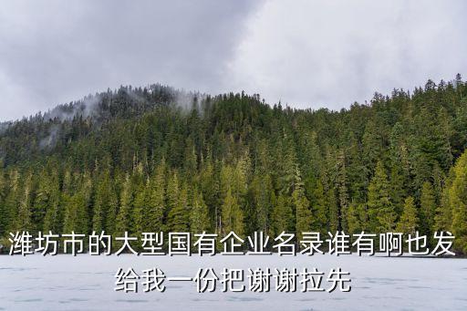 濰坊市的大型國有企業(yè)名錄誰有啊也發(fā)給我一份把謝謝拉先