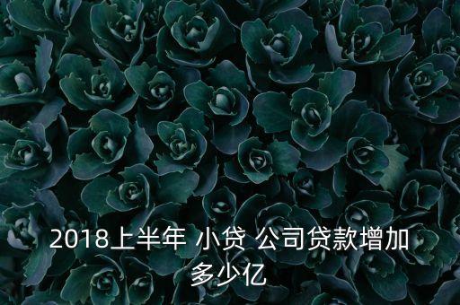 2018上半年 小貸 公司貸款增加多少億