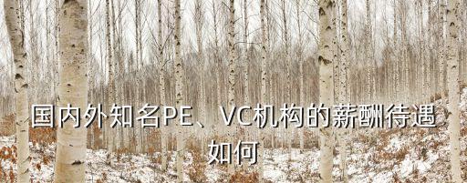 國內(nèi)外知名PE、VC機構(gòu)的薪酬待遇如何