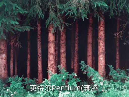 英特爾Pentium(奔騰