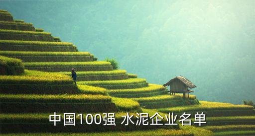 中國100強(qiáng) 水泥企業(yè)名單