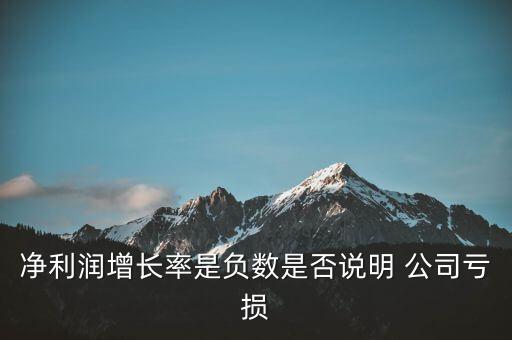 凈利潤(rùn)增長(zhǎng)率是負(fù)數(shù)是否說明 公司虧損