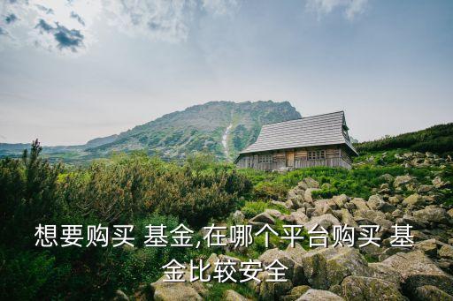 想要購買 基金,在哪個平臺購買 基金比較安全