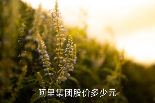 阿里集團股價多少元