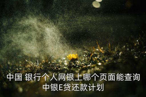 中國 銀行個(gè)人網(wǎng)銀上哪個(gè)頁面能查詢中銀E貸還款計(jì)劃