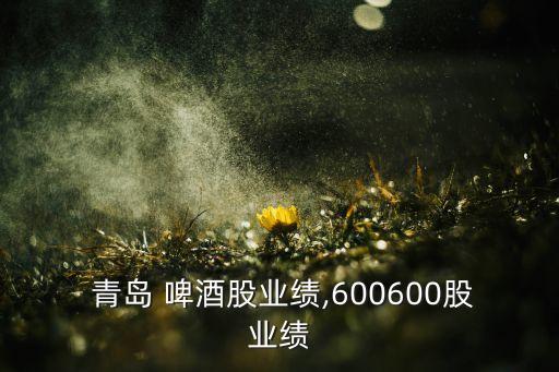  青島 啤酒股業(yè)績,600600股業(yè)績