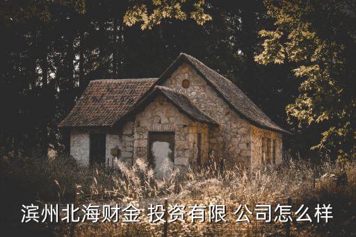 濱州北海財(cái)金 投資有限 公司怎么樣