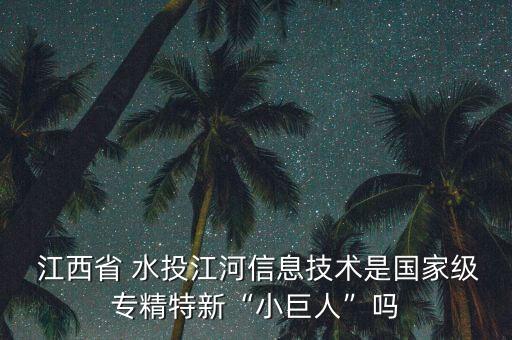  江西省 水投江河信息技術(shù)是國(guó)家級(jí)專精特新“小巨人”嗎